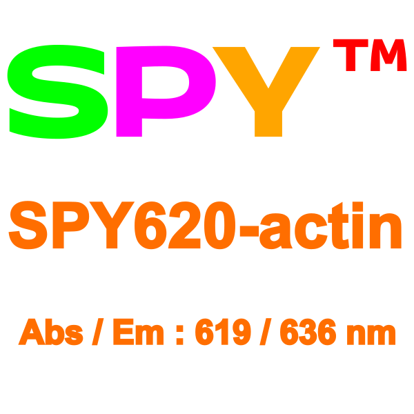 SPY620-actin_ud