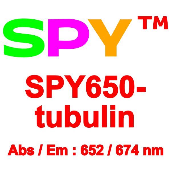 SPY650-tubulin_2
