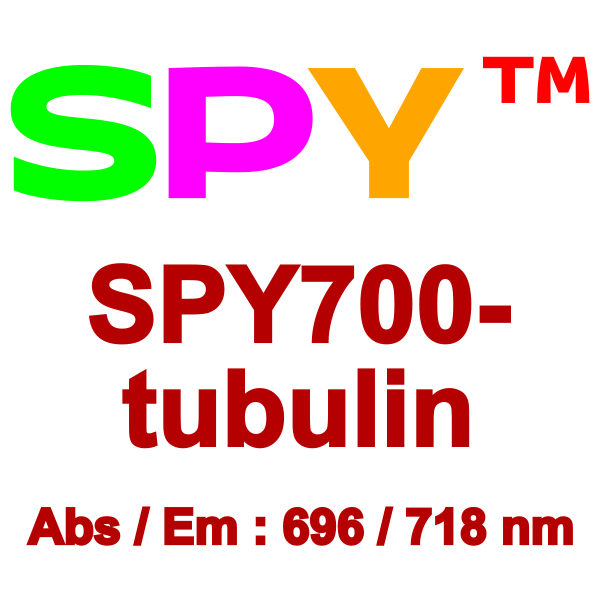 SPY700-tubulin_final