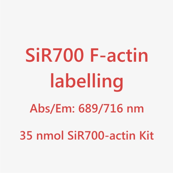 SiR700-actin_title_2