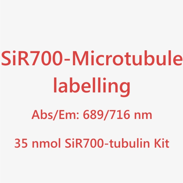 SiR700-tubulin_title_4