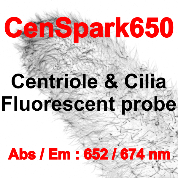 CS650 CS650